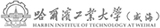 哈爾濱工業大學（威海）